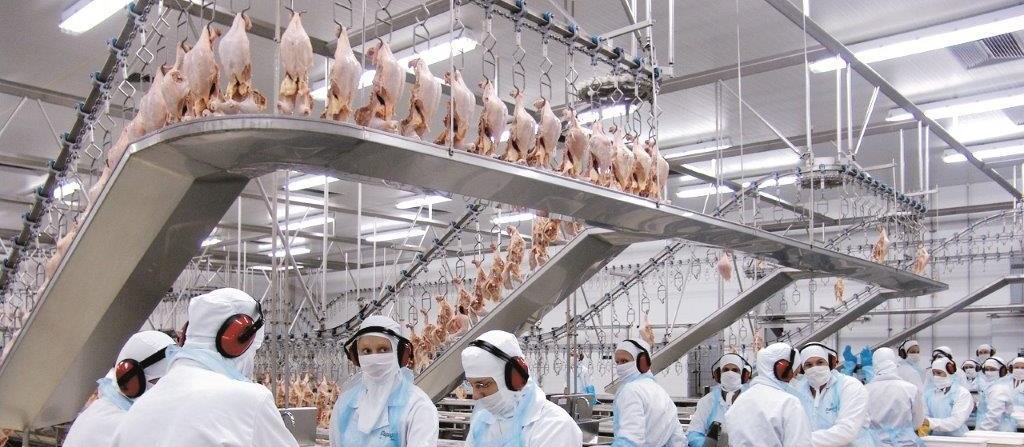 Alta no valor de exportação da carne de frango no Paraná 