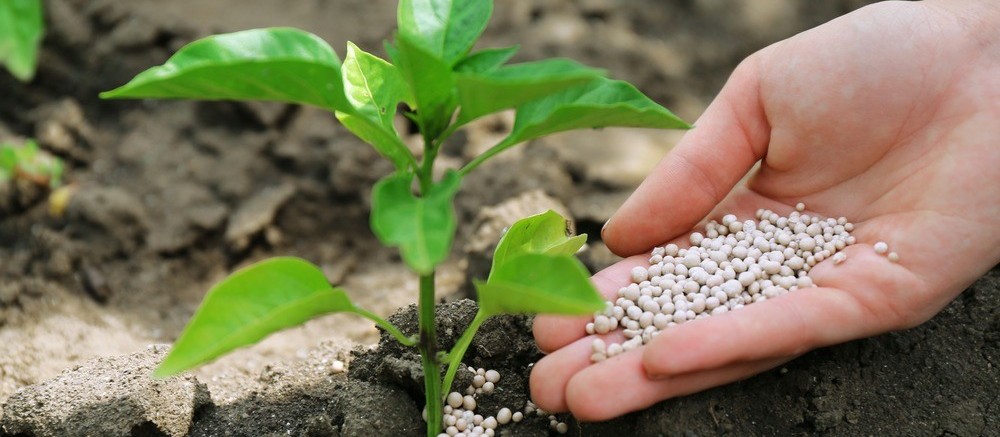 Fertilizantes nitrogenados tiveram alta de 61% em 2021