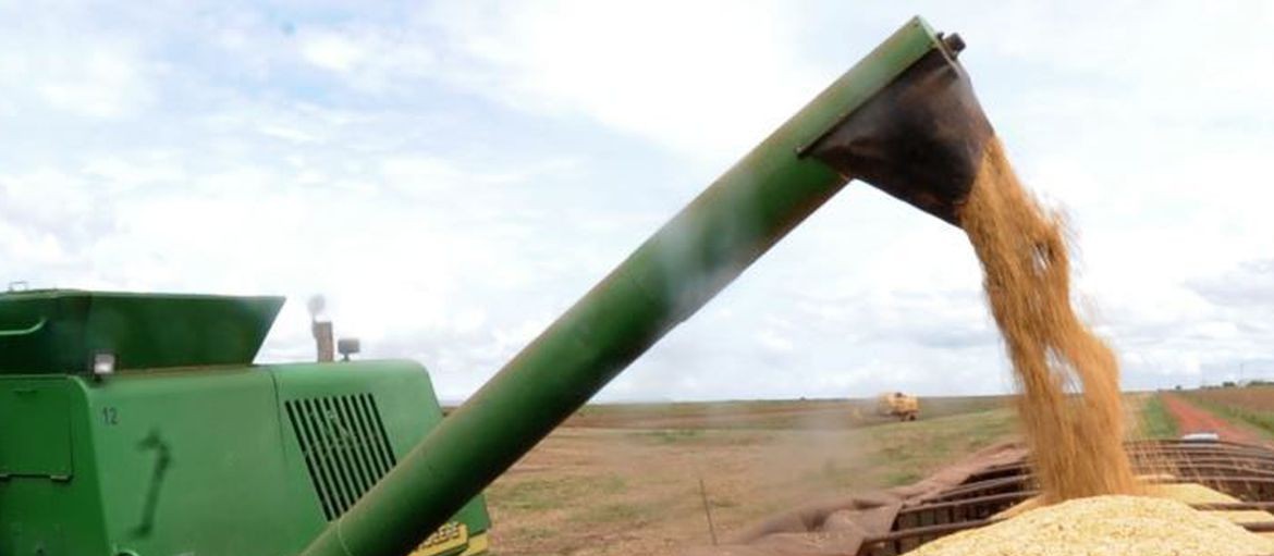 Soja: Brasil aumenta área plantada em 3,7%