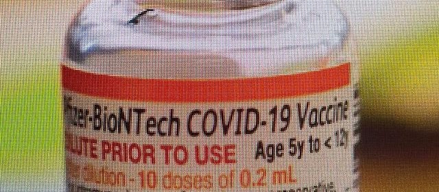 Anvisa autoriza vacina da Pfizer contra a Covid-19 para crianças de 5 a 11 anos