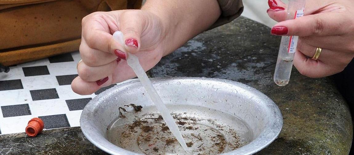 Para combater epidemia, Marialva desenvolve “Projeto Dengue”