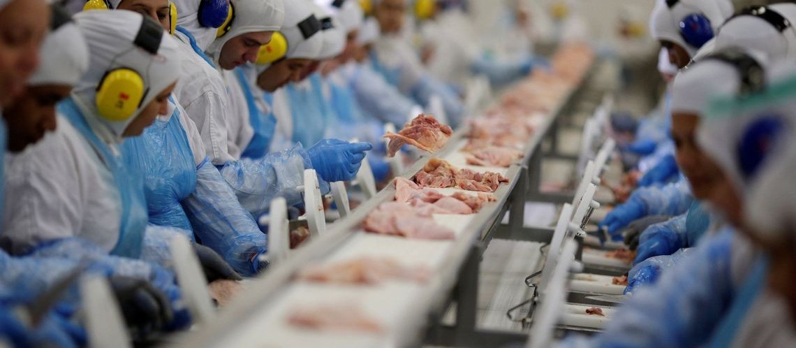 Exportação de frango recua; venda de carne bovina bate recorde