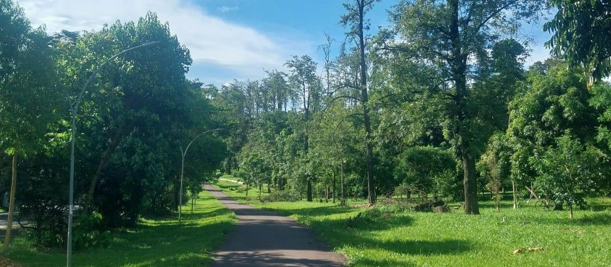 Confira a previsão do tempo para este sábado (28)