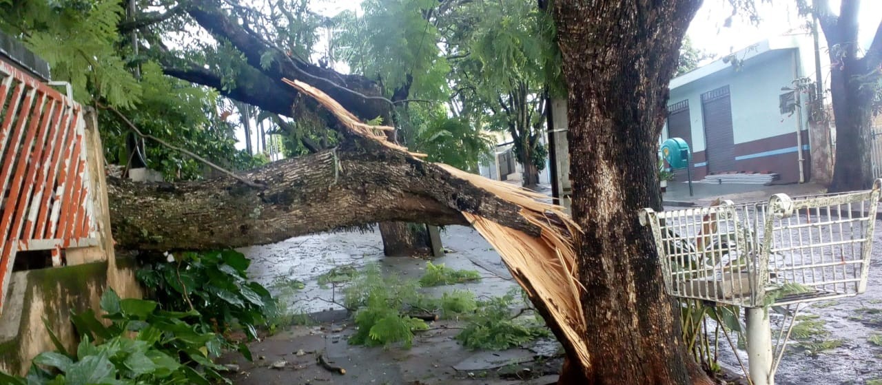Novo temporal acumula estragos em Maringá