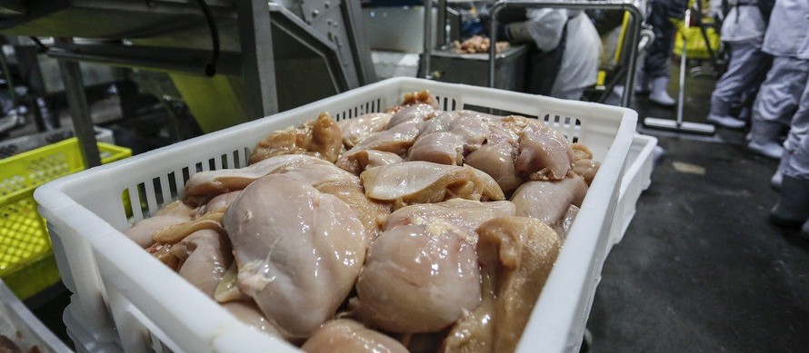 Exportações de carne de frango crescem 24,2% em outubro