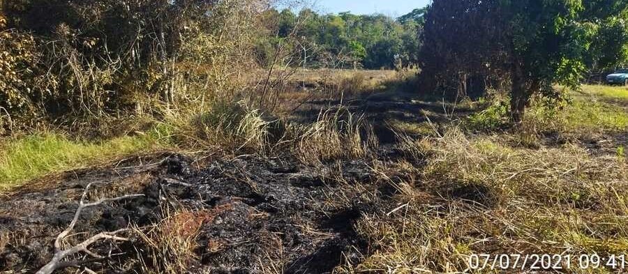 Dono de sítio é multado em R$ 30 mil por destruir vegetação nativa na região