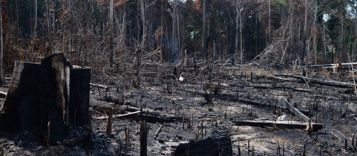 Grupo exige que o governo brasileiro freie o desmatamento no país como condição para continuar investindo