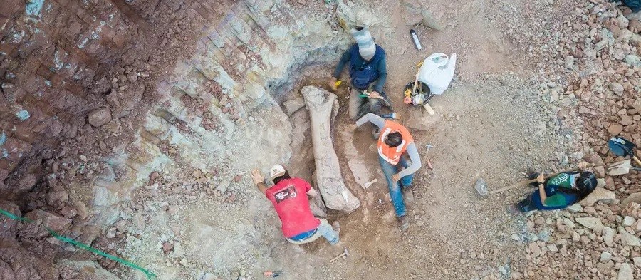 Pesquisadores de Maringá participaram de descoberta de fóssil de titanossauro