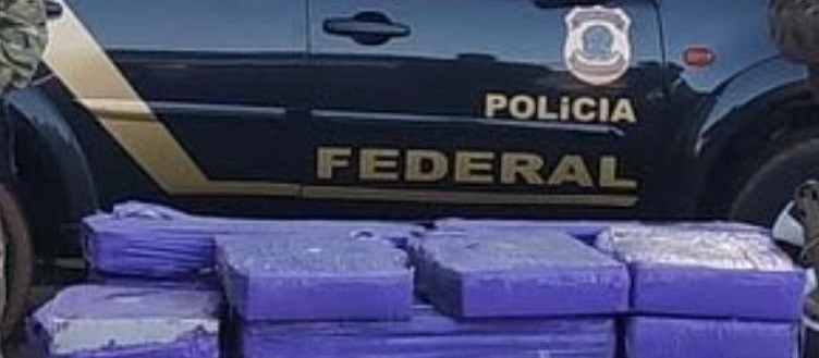 Polícia Federal de Maringá apreende mais de 600 quilos de maconha em operação
