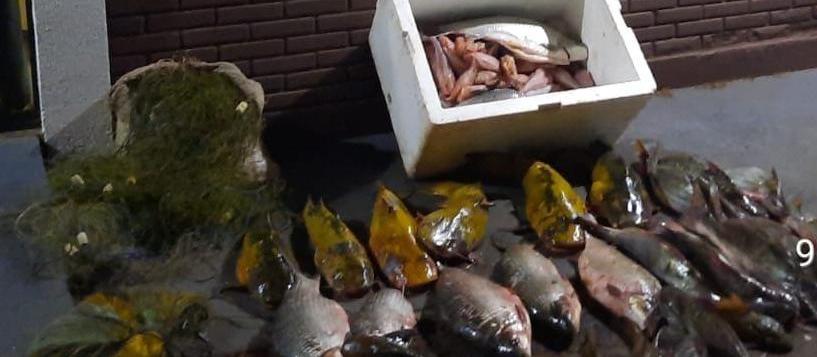 Operação flagra pesca irregular e apreende mais de 100 kg de peixes