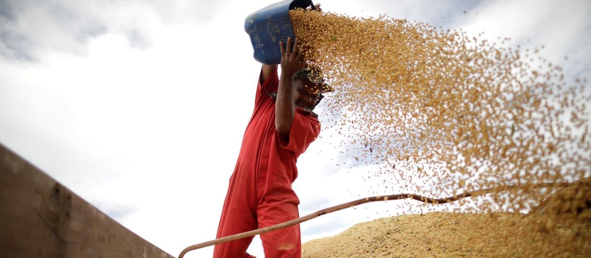 Brasil pode ter safra recorde de cereais e leguminosas