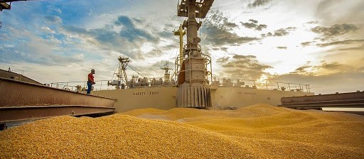 Produção de grãos da safra 2020/21 deve ser maior da história, diz Conab