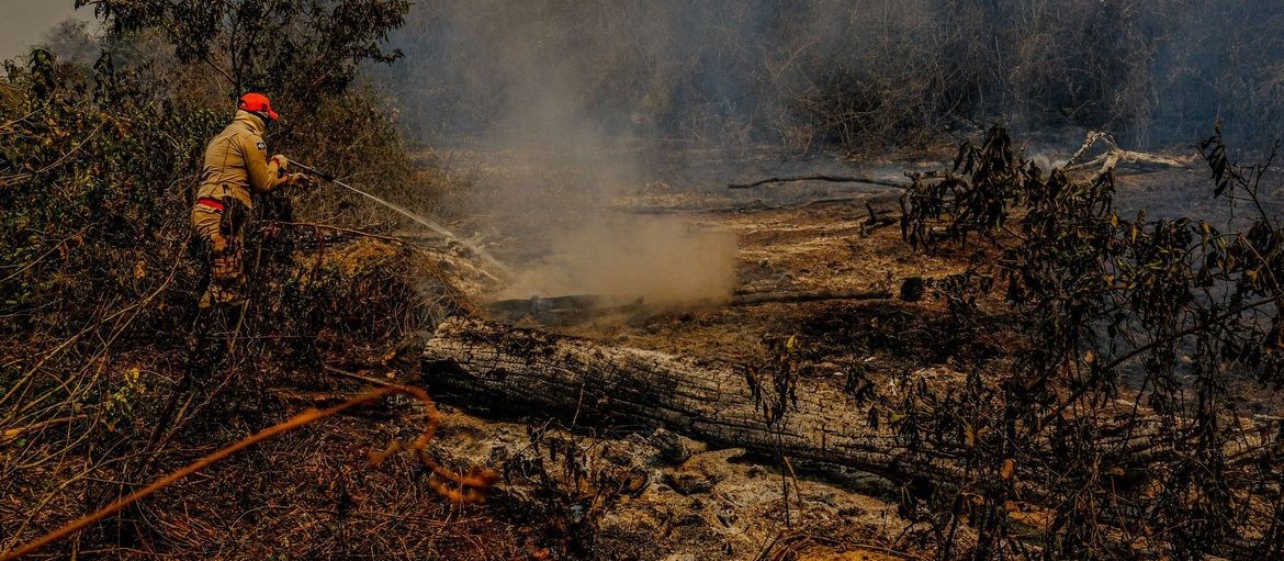 30 bombeiros do Paraná vão ajudar no combate ao fogo no Pantanal