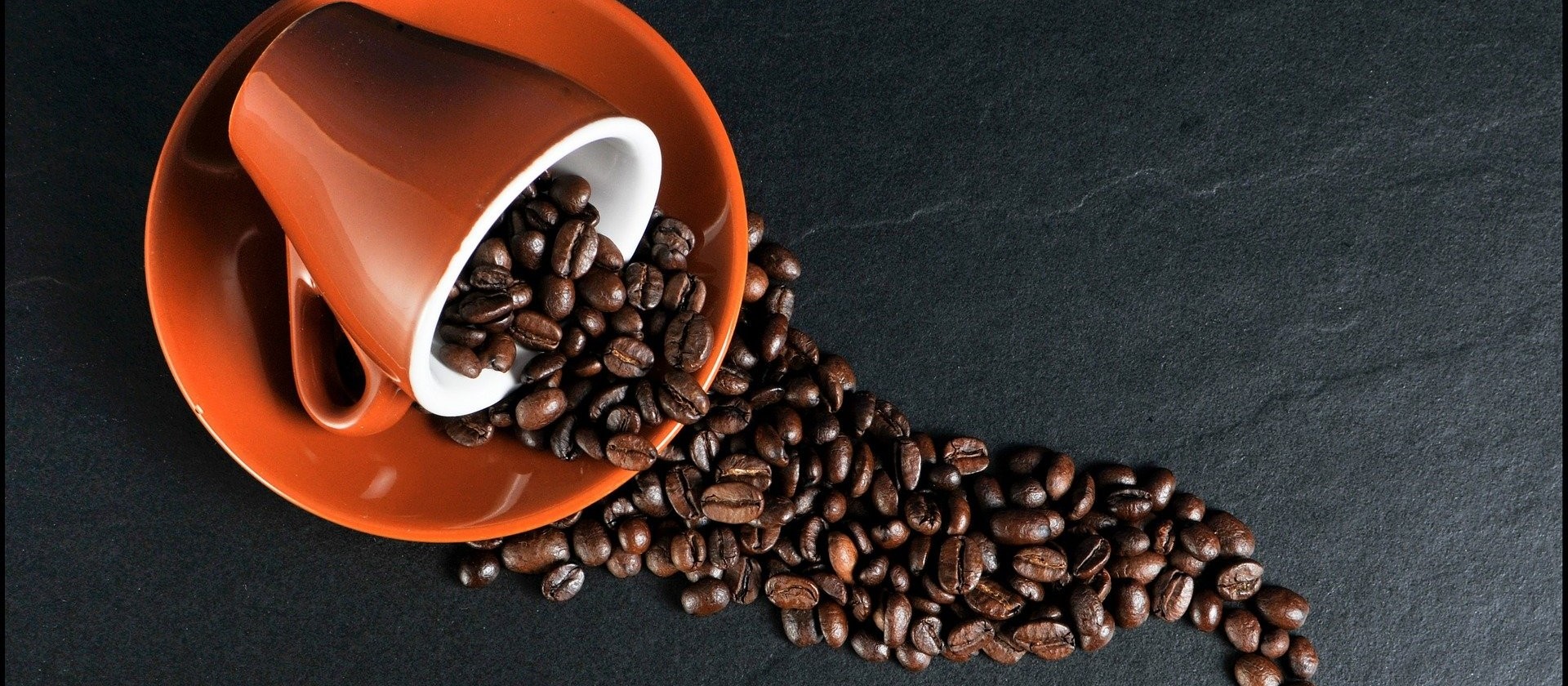 Saca do café beneficiado custa R$ 455,00