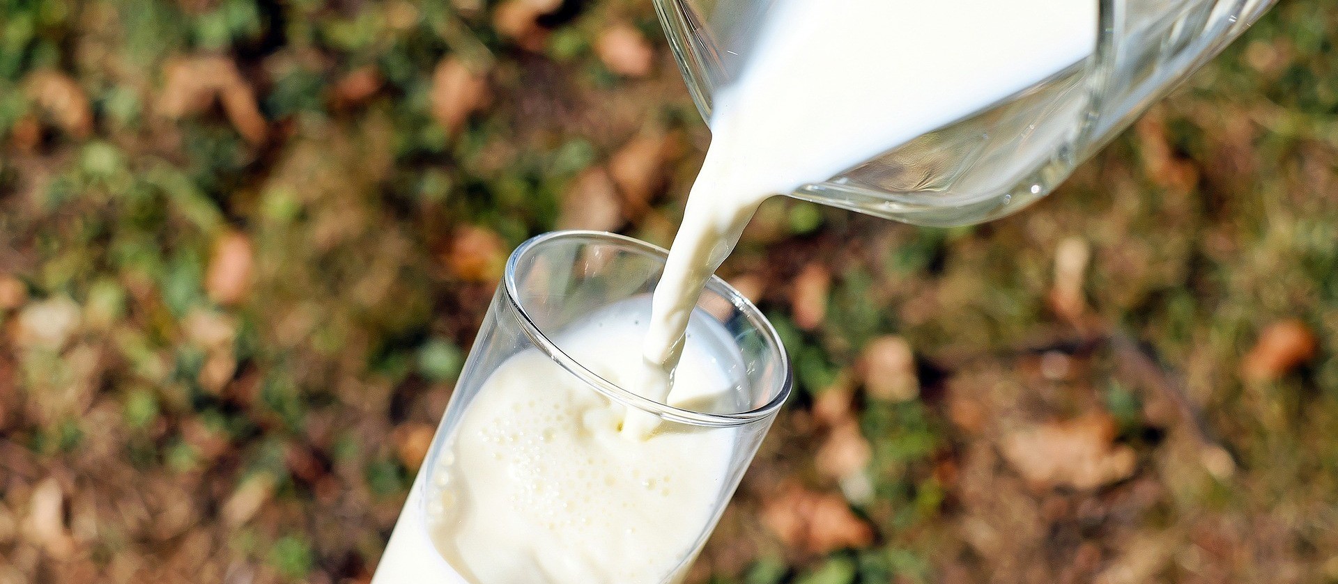 Em mercado atípico, leite registra redução de oferta e cotações aquecidas