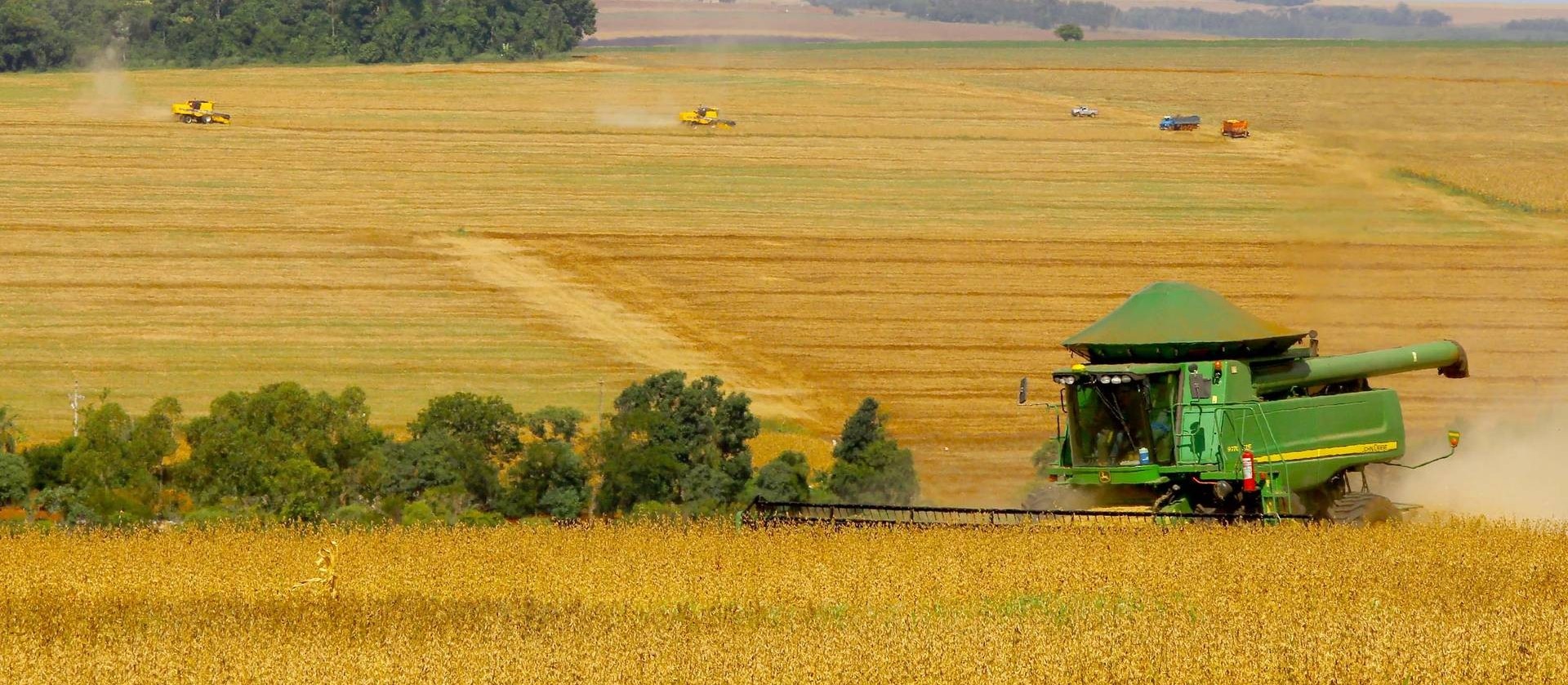 Preços da terra para atividade agrícola seguem em alta no Brasil