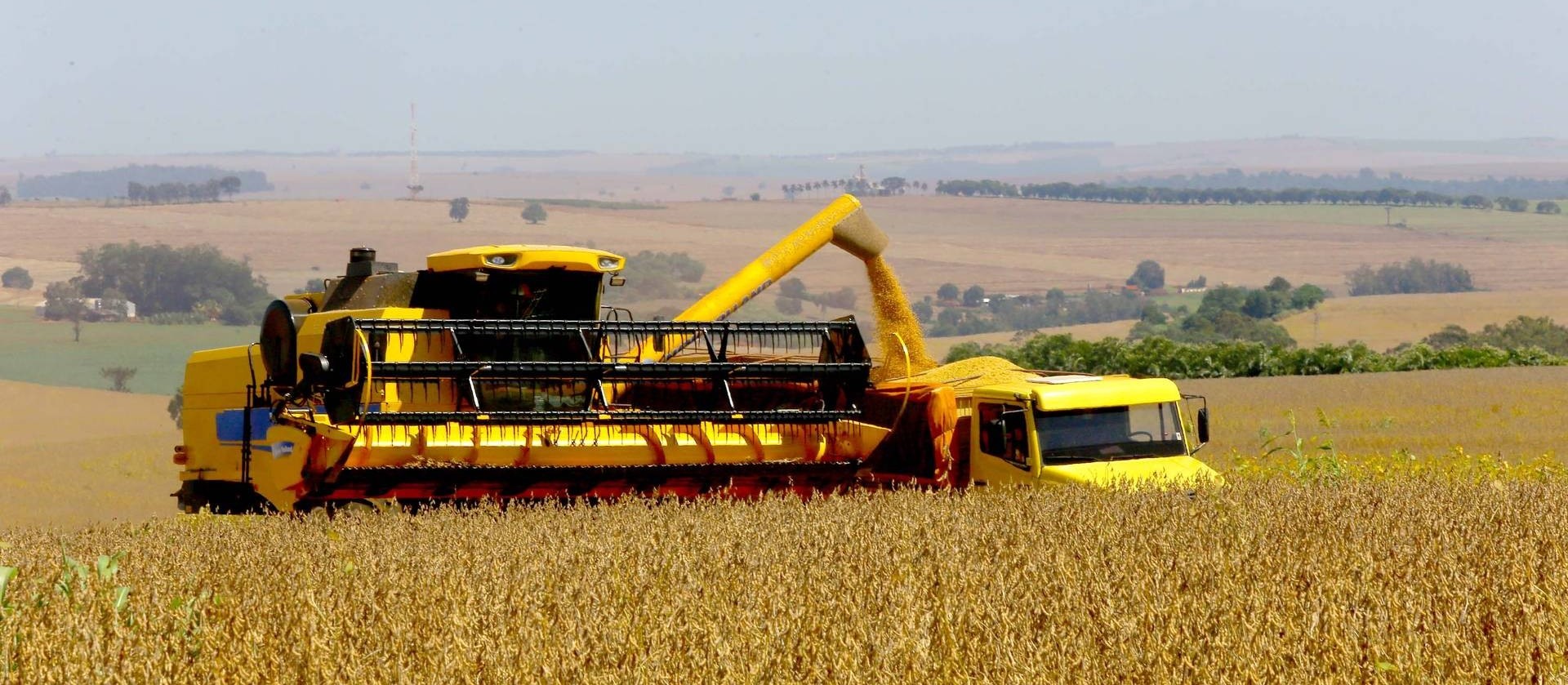Safra de grãos de verão do Paraná deve ser 9% maior, estima Deral