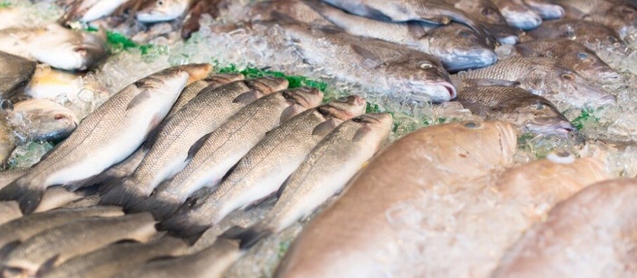 Pescados apresentam diferença de até 271% no preço em Maringá