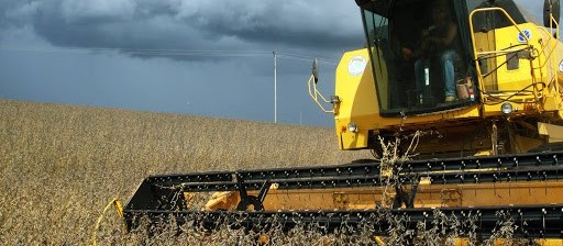 Colheita da soja no Paraná atinge 42% da área total semeada no estado