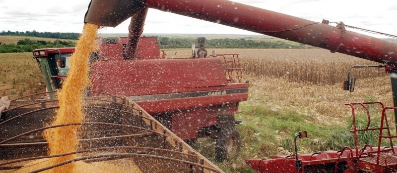 Exportações de milho em setembro já somam 4,7 milhões de toneladas 