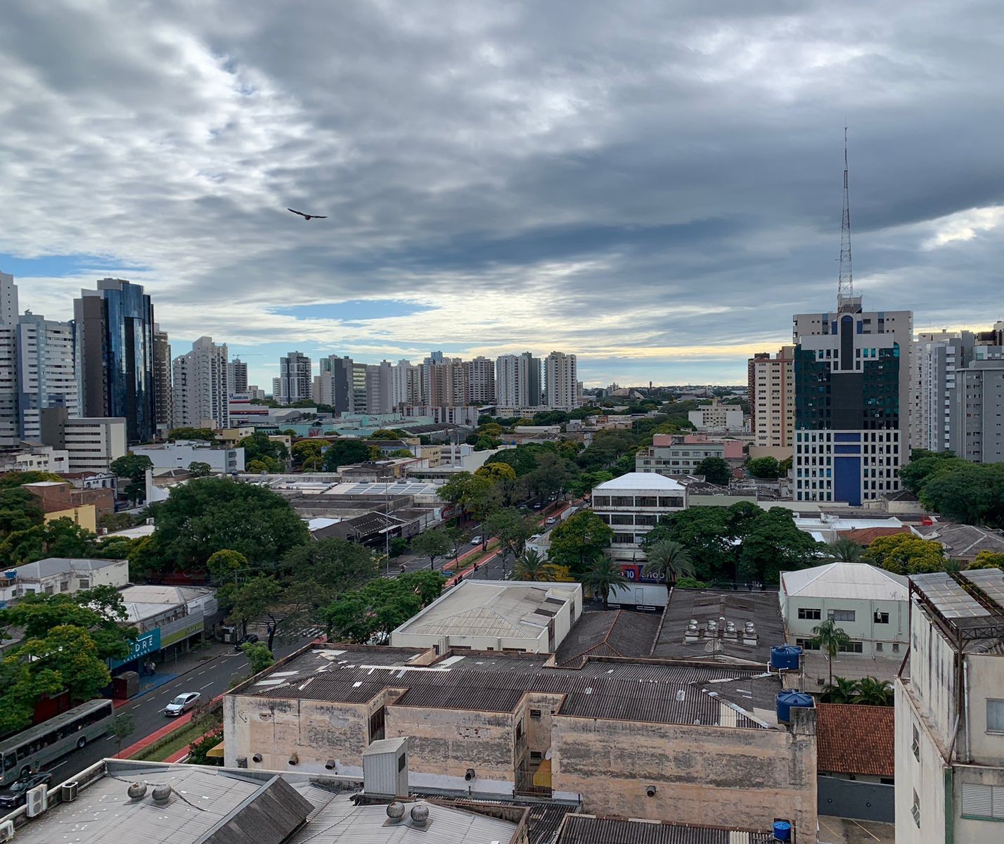 Confira a previsão do tempo para esta terça-feira em Maringá