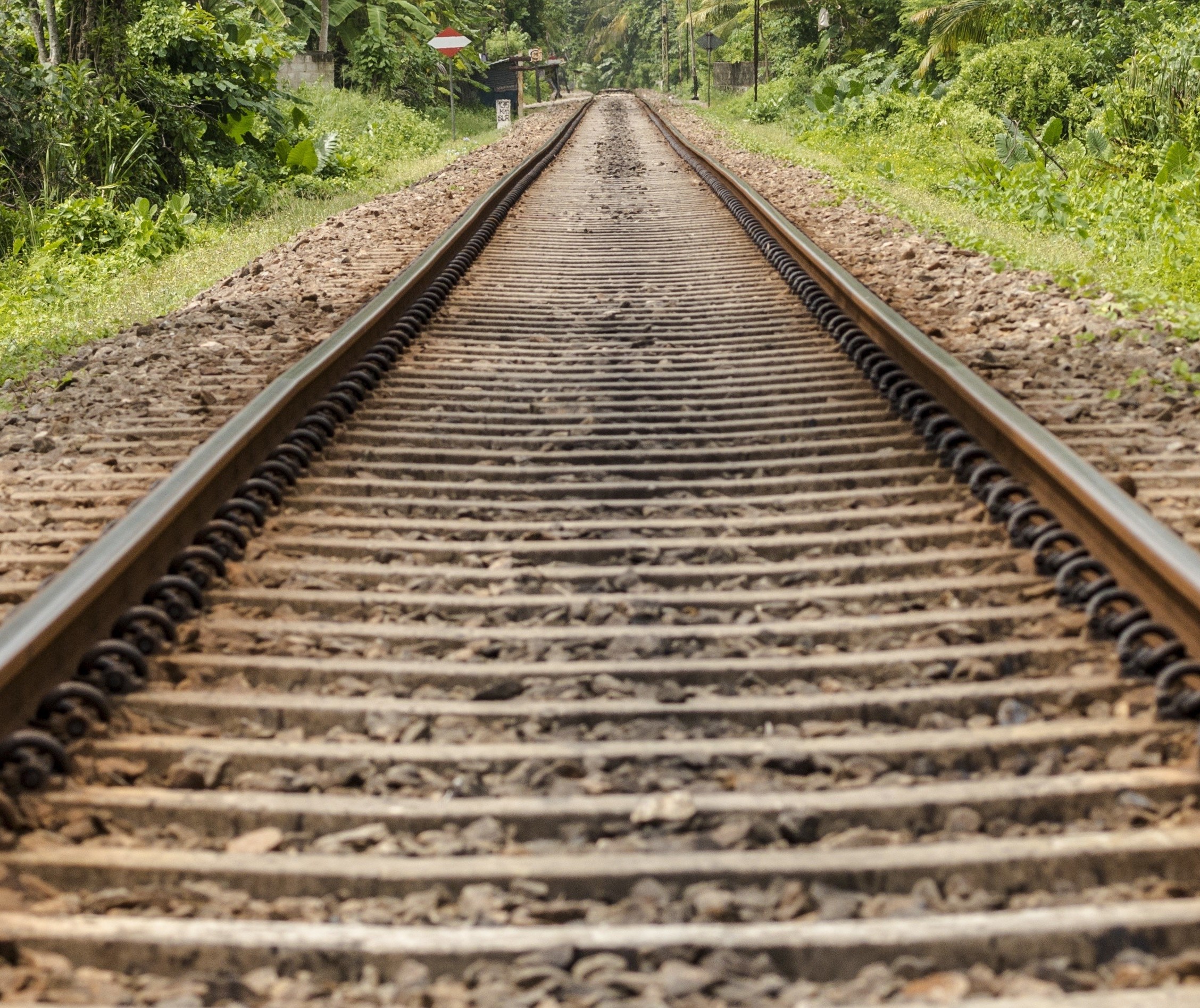 Trem Pé-vermelho terá estudo de viabilidade técnica