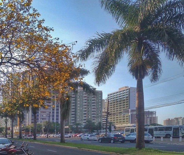 Com mínima de 11ºC, quinta-feira amanhece gelada em Maringá