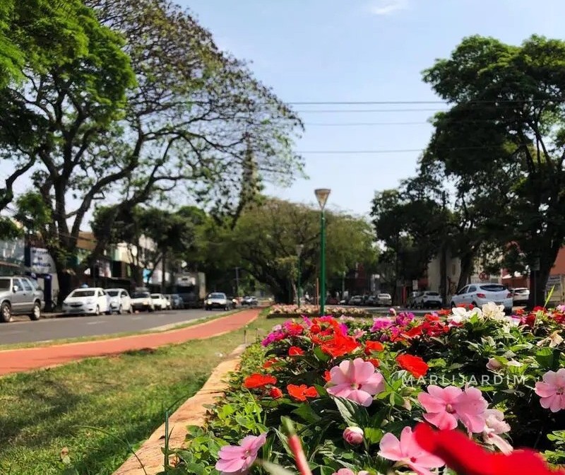 Veja como fica o tempo em Maringá neste domingo (19)