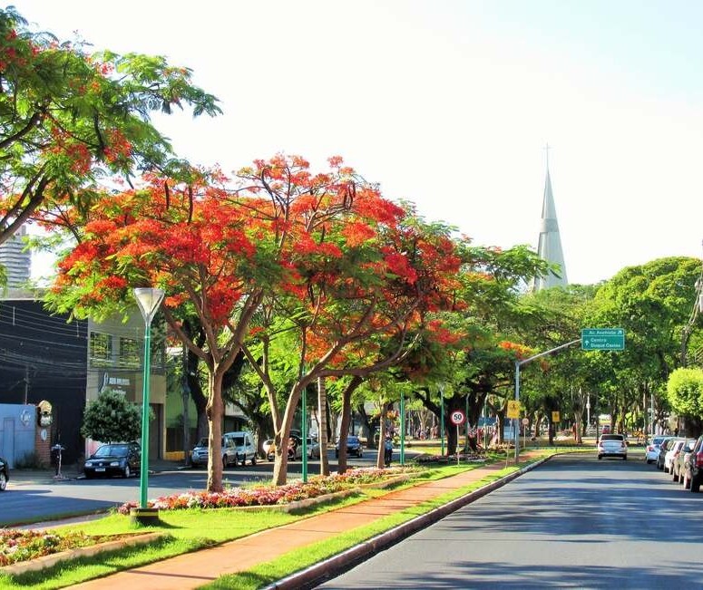 Saiba como fica o tempo neste início de semana em Maringá