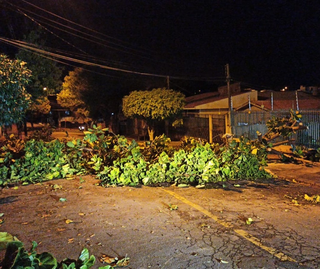 Temporal provoca queda de árvores e destelhamento em Apucarana