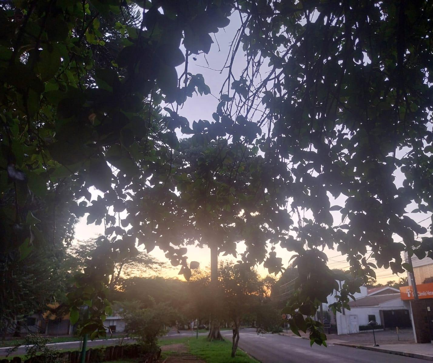 Confira a previsão do tempo para esta terça-feira de carnaval