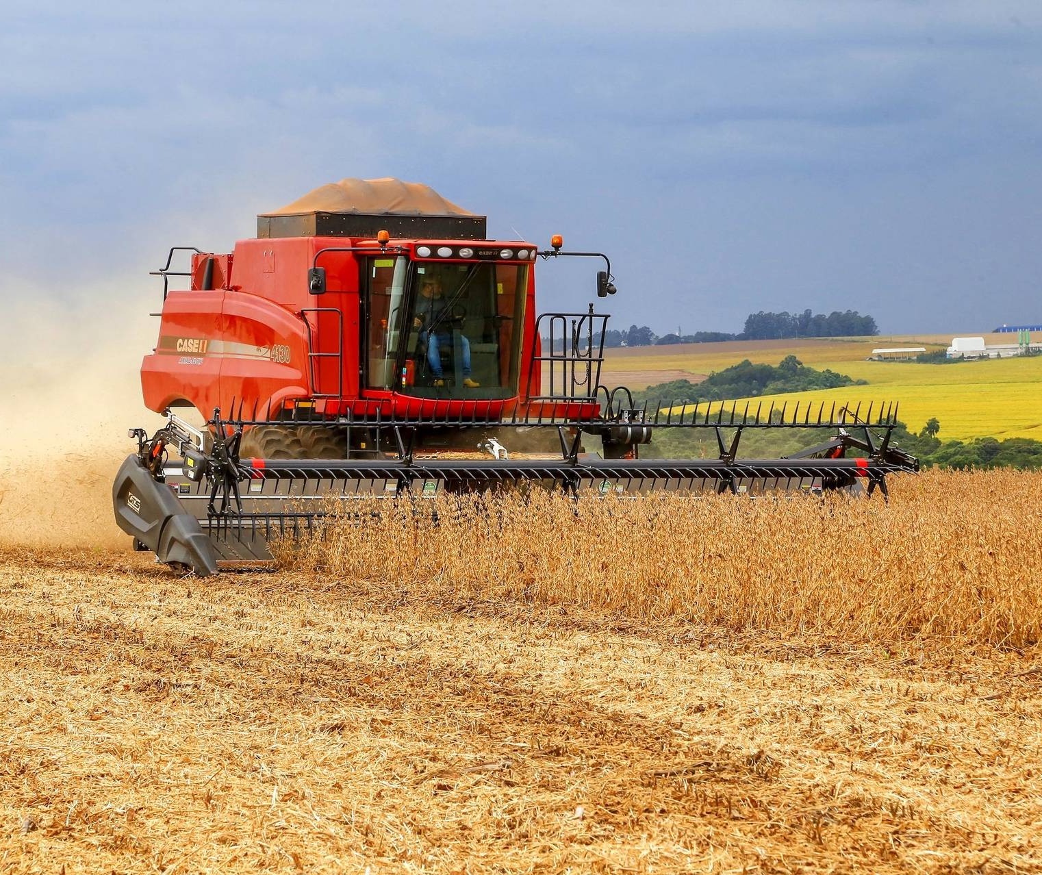 Brasil deve ter novo recorde na colheita da safra de soja