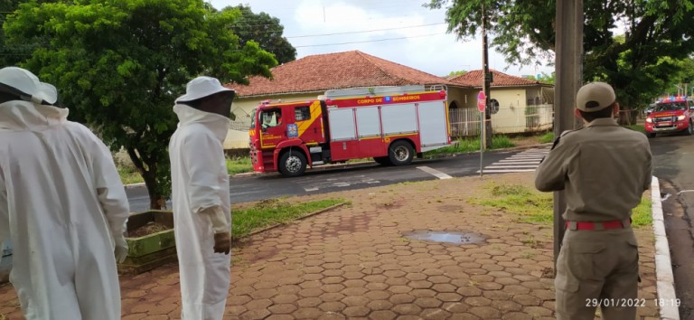 Homem é atacado por abelhas no Conjunto Cidade Alta, em Maringá