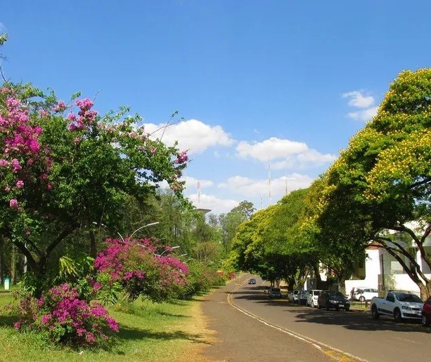 Sexta-feira será de temperaturas mais elevadas e tempo estável em Maringá