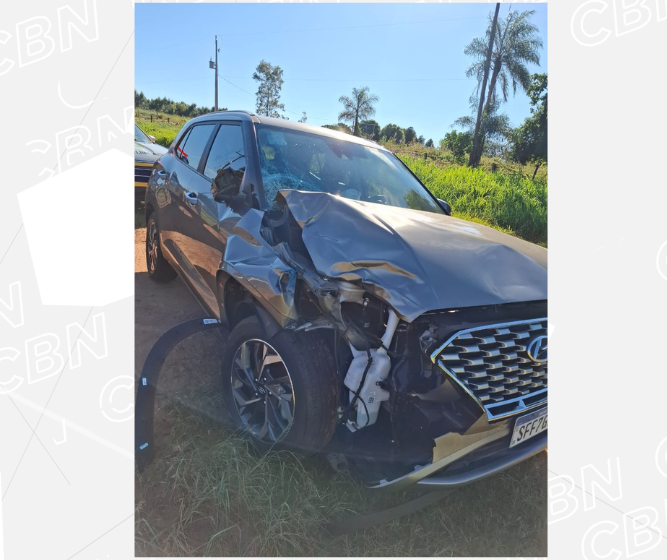 Jovem de 18 anos morre atropelada ao atravessar a rodovia PR-180