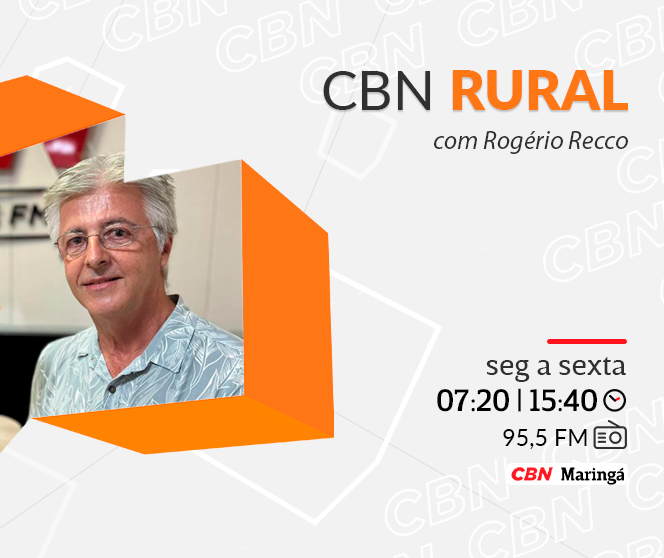 Soja e carne puxam recorde das exportações do agro brasileiro