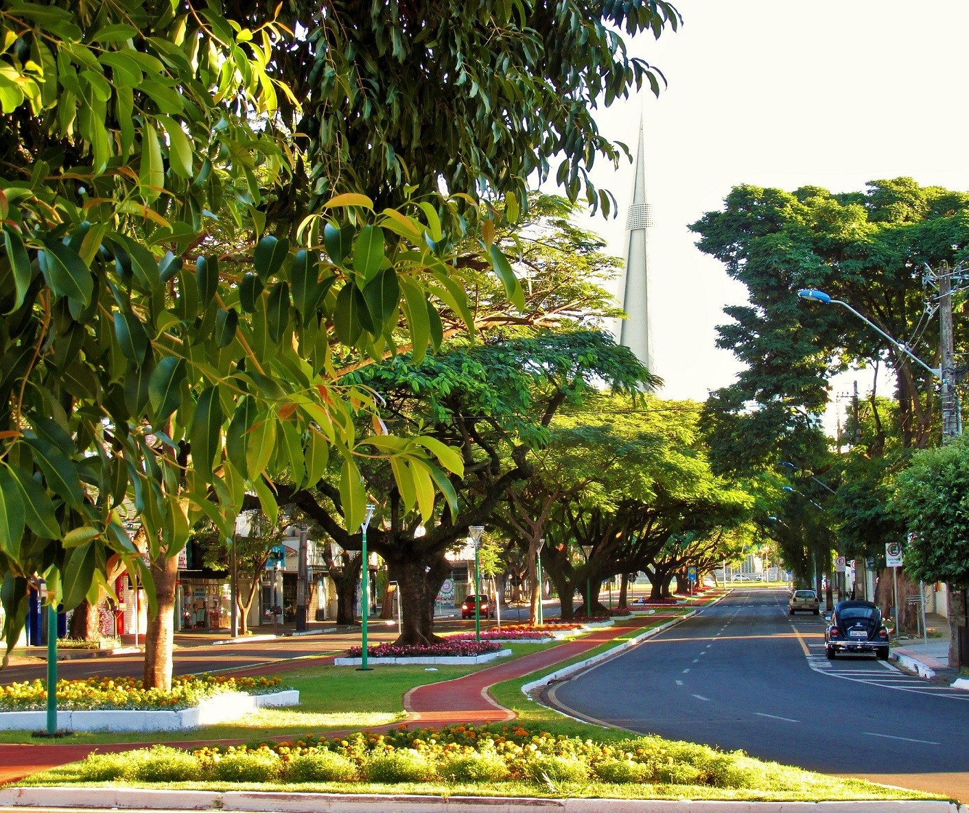 Sexta-feira (19) segue com frio no amanhecer em Maringá; veja previsão para o fim de semana