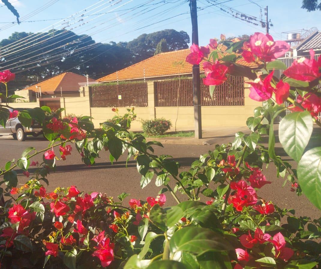 Domingo de tempo firme em Maringá e máxima de 27ºC