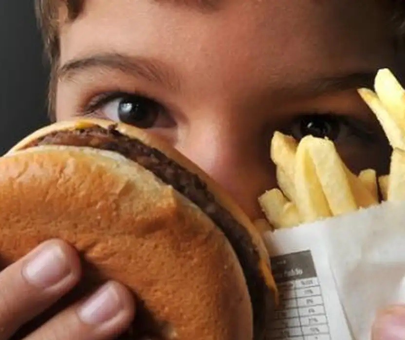 Estudo aponta que crianças brasileiras estão ficando obesas