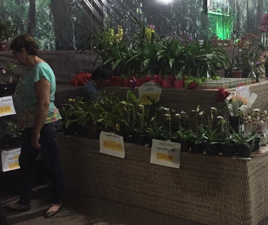 Produtores de flores da região participam da Expoingá
