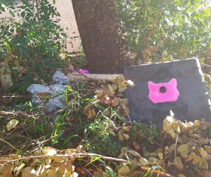 Casa abandonada gera indignação em moradores do Residencial Cidade Nova, em Maringá