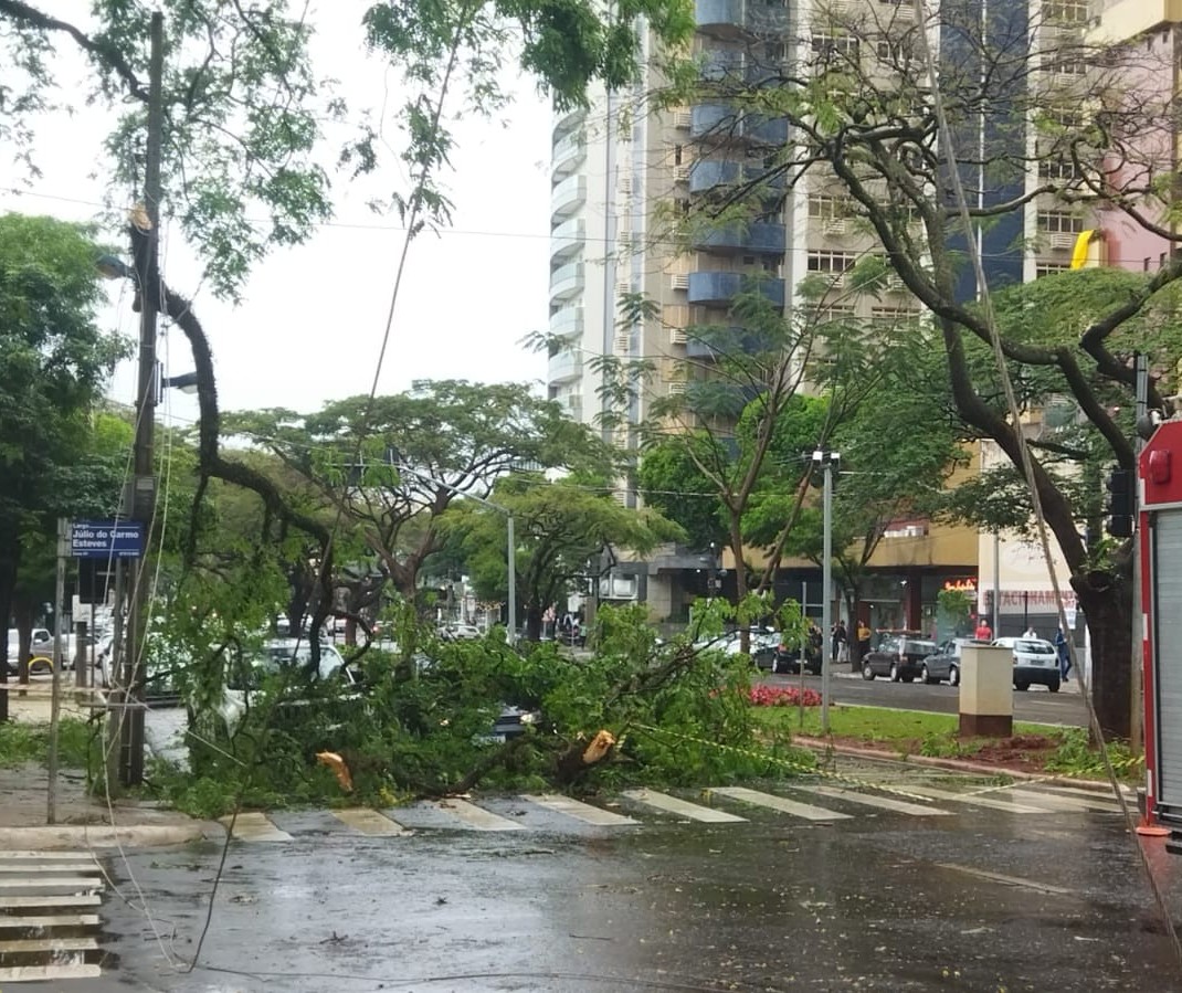 Temporal com granizo derruba árvores e provoca alagamentos em Maringá