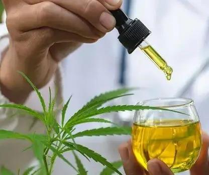 Mandaguari é premiada por distribuição de remédio à base de cannabis