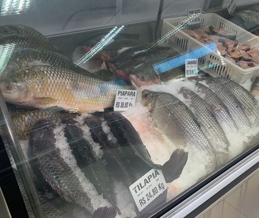 Venda de peixes pode subir até 40% por causa da quaresma
