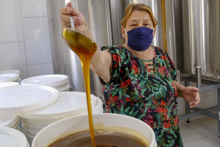 Exportações de mel pelo Porto de Paranaguá cresceram 31,6% no 1º quadrimestre