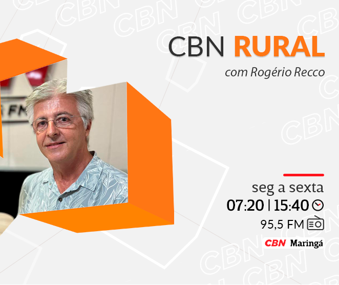 Açaí pode ganhar espaço no Cerrado com pesquisas da Embrapa