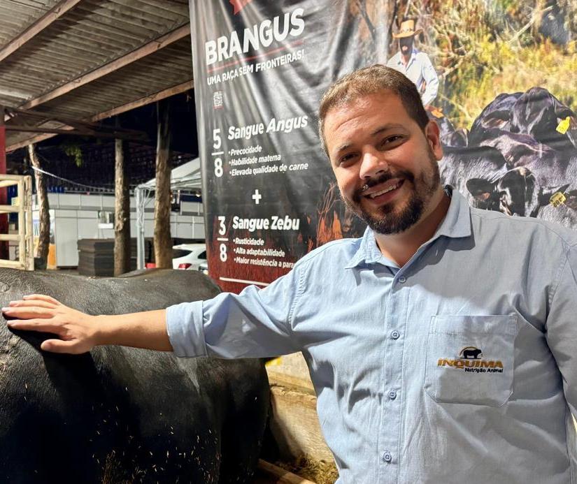 Raça Brangus: um  animal bastante adaptado ao clima tropical