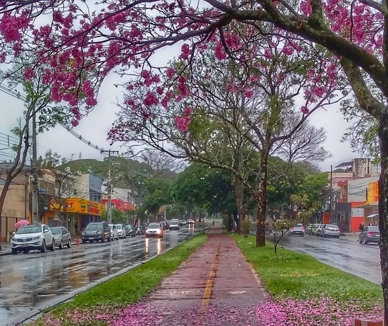 Quarta-feira (4) com bastante chuva em Maringá