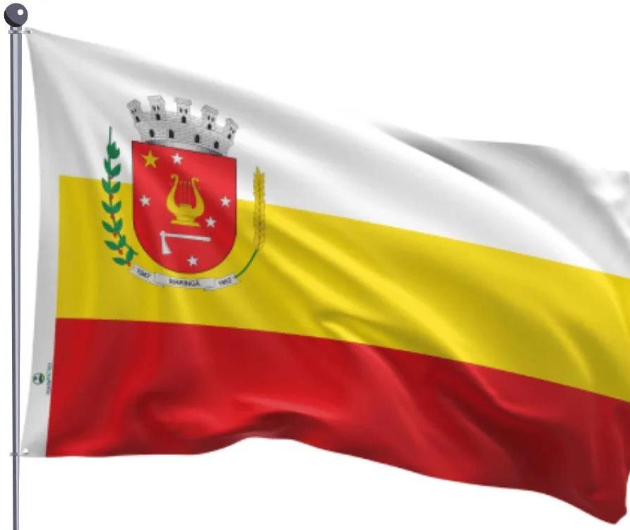 Gabinetes dos Vereadores terão mastros e bandeiras do Brasil, do Paraná e de Maringá