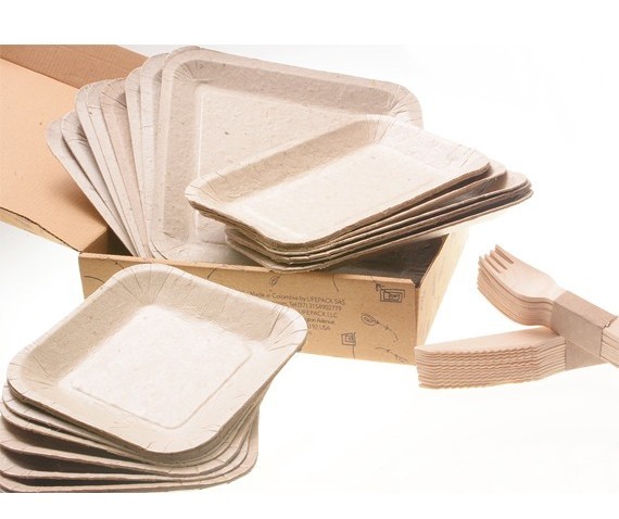 Empresa desenvolve pratos de papel que podem ser plantados após o uso